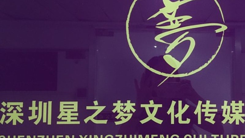企业VI设计规范手册：打造品牌形象的基石