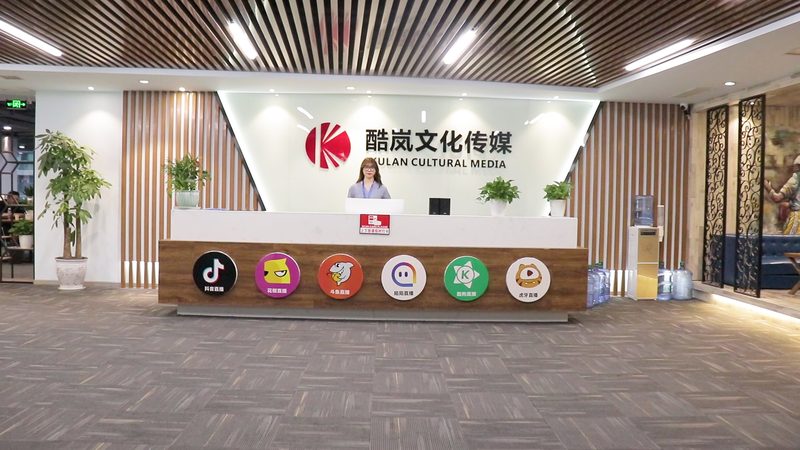 企业VI设计流程步骤解析：打造品牌形象的关键步骤